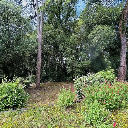 Le Benedicta, T2 - Plage Et Bois A Proximite - Le Pouliguen - Lp000-430 아파트